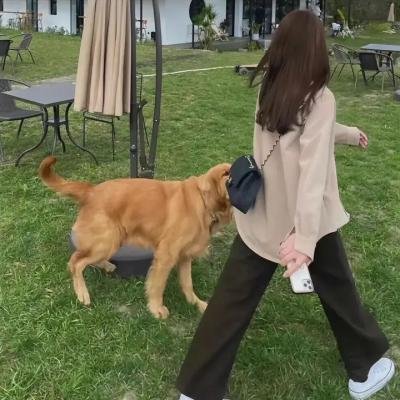 罗西与莫妮卡之骊靬情